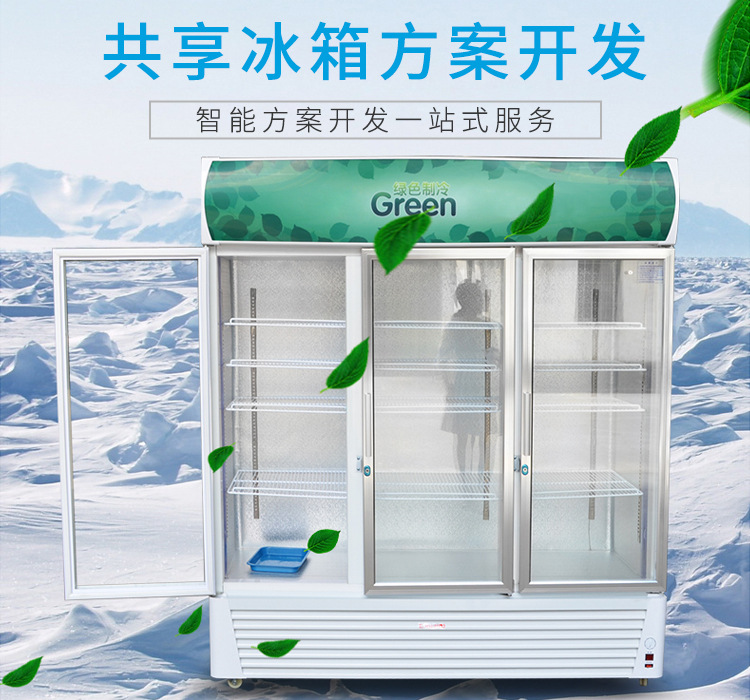 共享冰箱方案（共享冰箱商業策劃書）